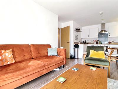 Picture 6